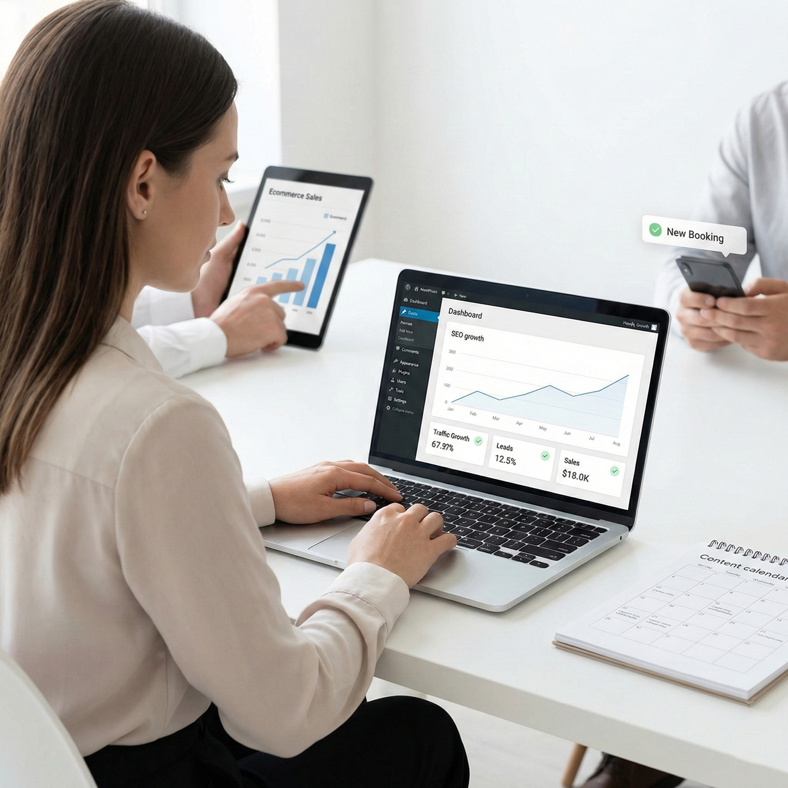 Wordpress SEO Services